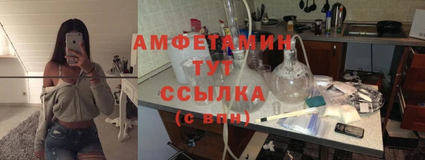 молекула духа Вязьма