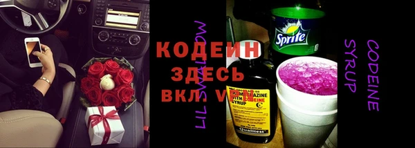 молекула духа Вязьма