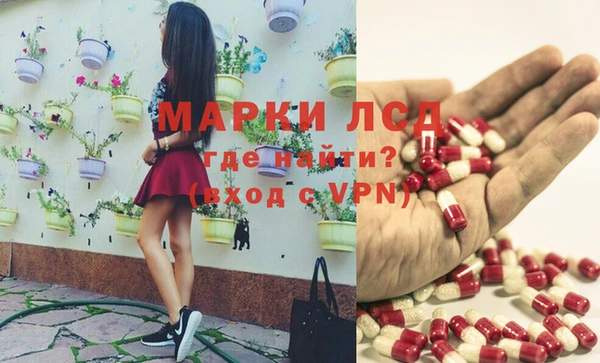 молекула духа Вязьма