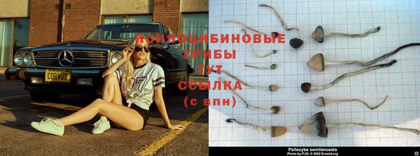 молекула духа Вязьма