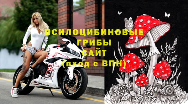 молекула духа Вязьма