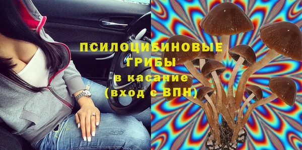 молекула духа Вязьма
