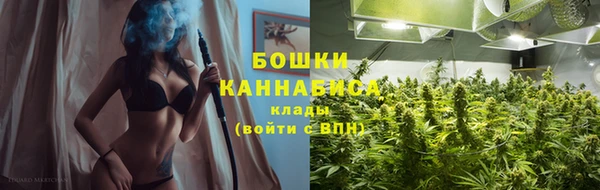 молекула духа Вязьма