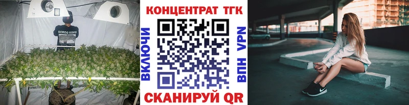 Дистиллят ТГК гашишное масло  Купить где  Урус-Мартан 