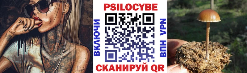 Галлюциногенные грибы прущие грибы  Купить где  Урус-Мартан 