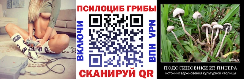 Псилоцибиновые грибы GOLDEN TEACHER Урус-Мартан